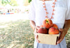 Jackson Peachy Bauble Necklace