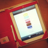 Quincy iPad Case, Gold + Fuchsia